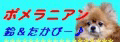 120x42̃oi[